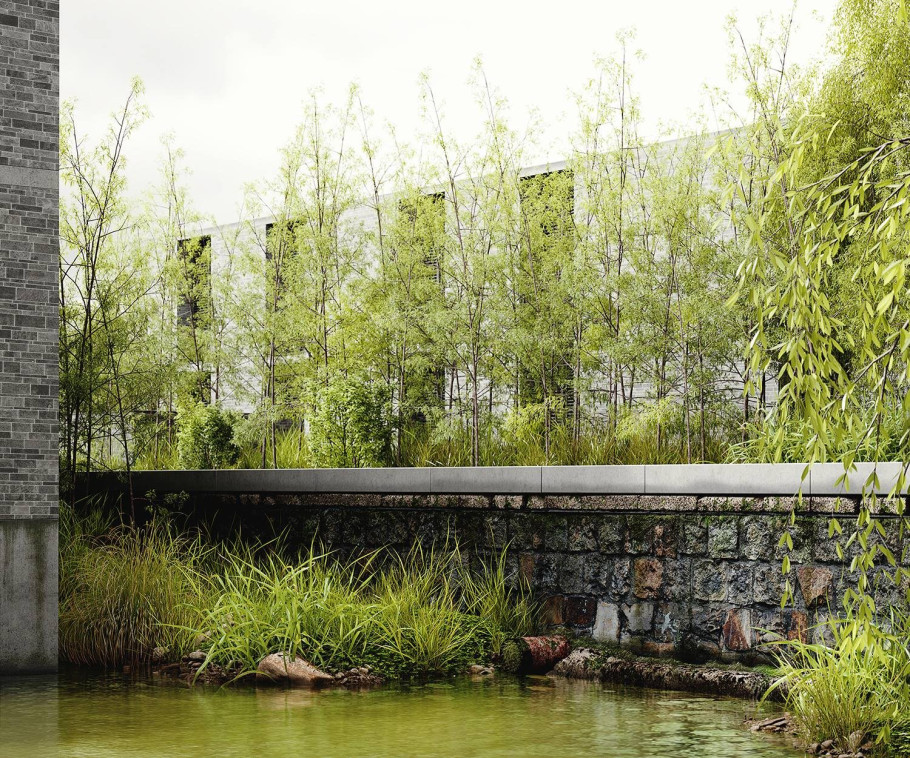 Wetland