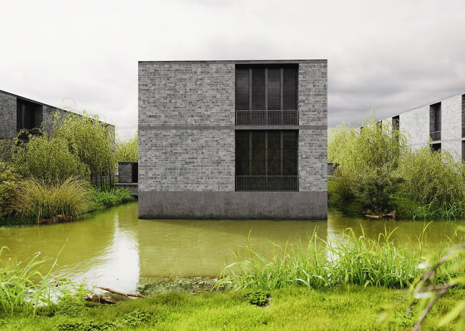 Wetland