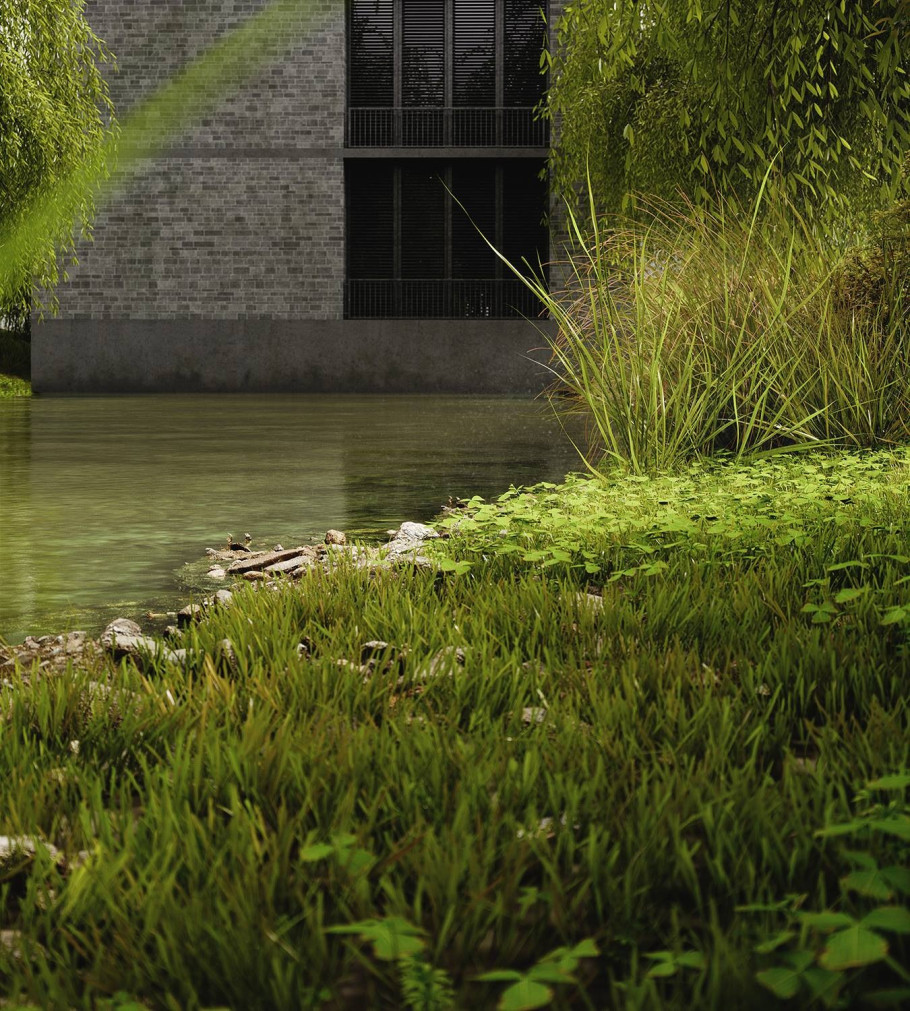 Wetland