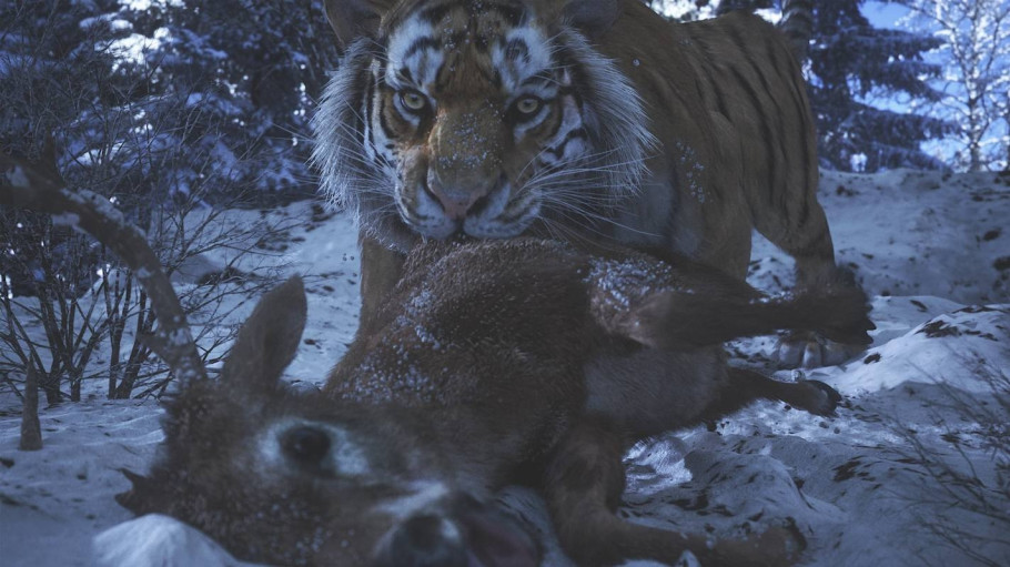 Wild Life
