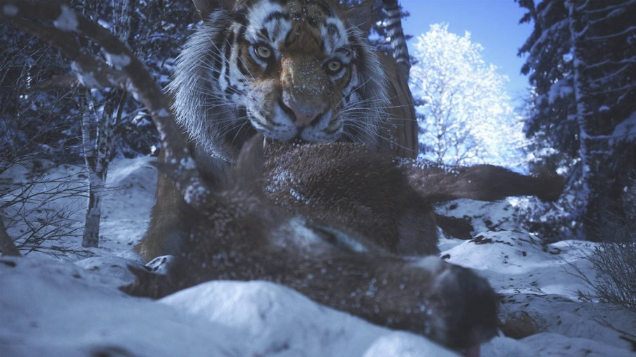 Wild Life