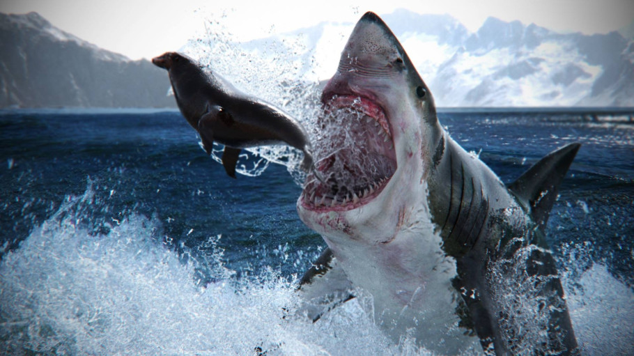 Wild Life
