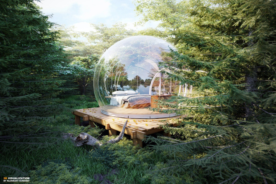 The Bubble