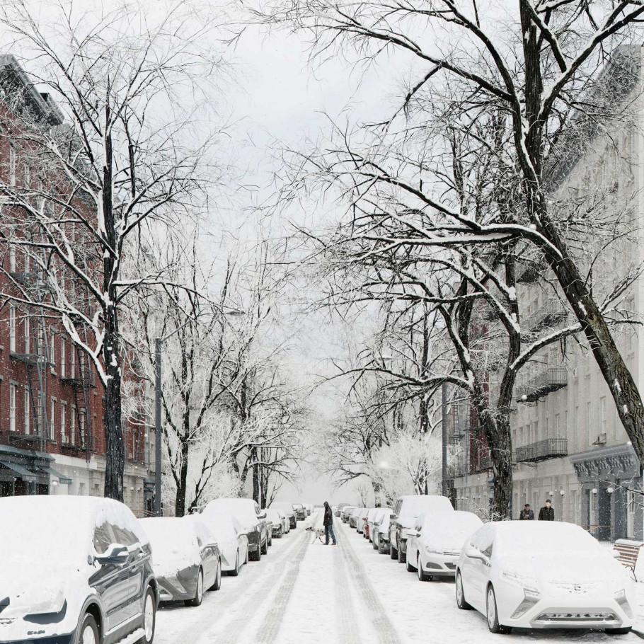 Winter Scene