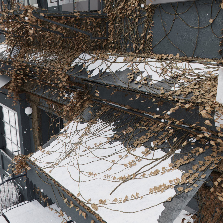 Winter Scene