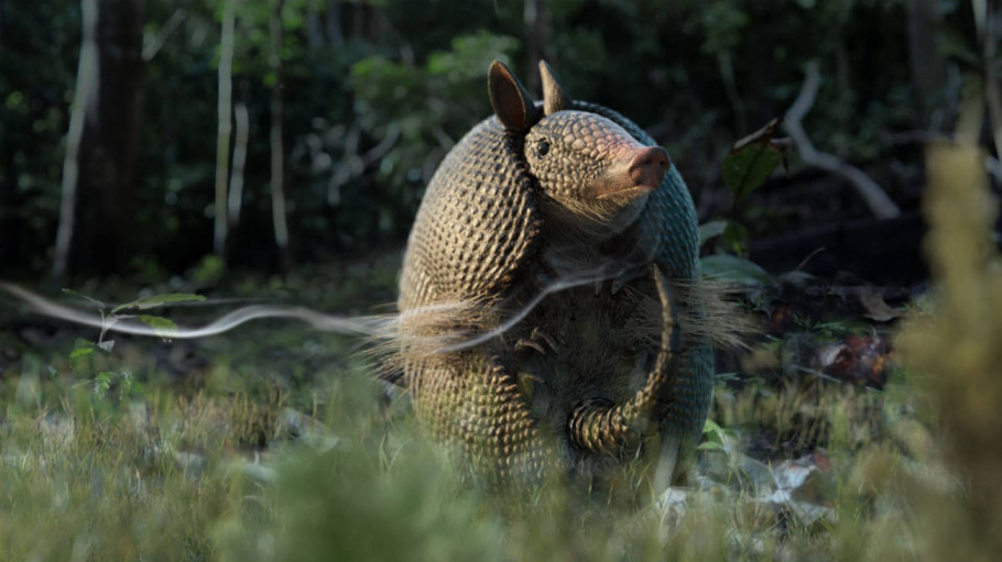 Reel V-Ray