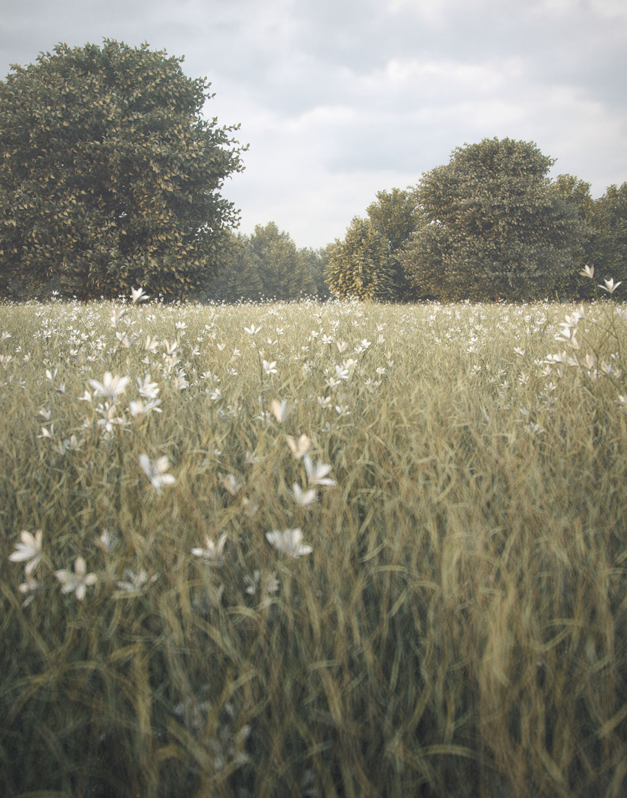 Rendering Nature