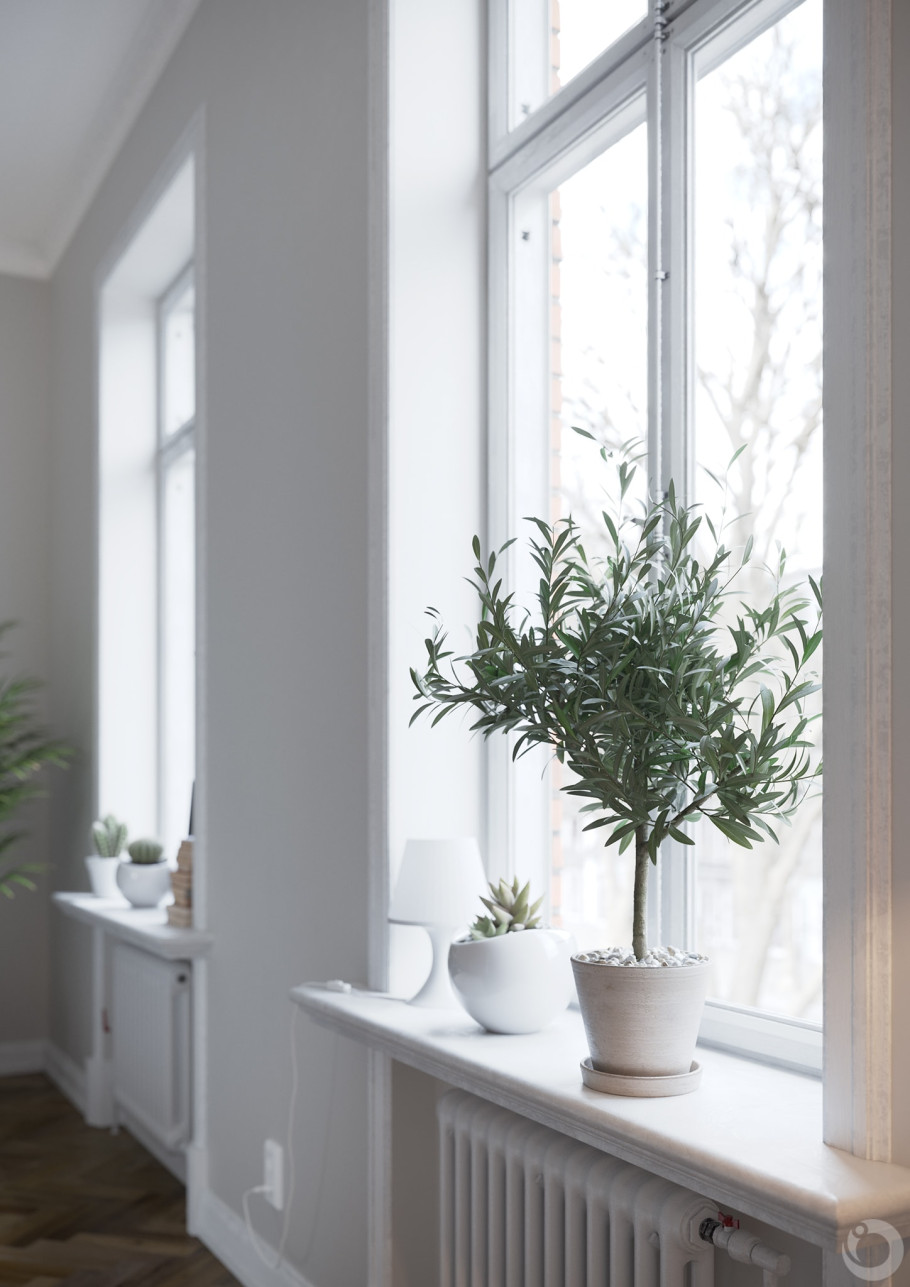 Scandinavian Interior