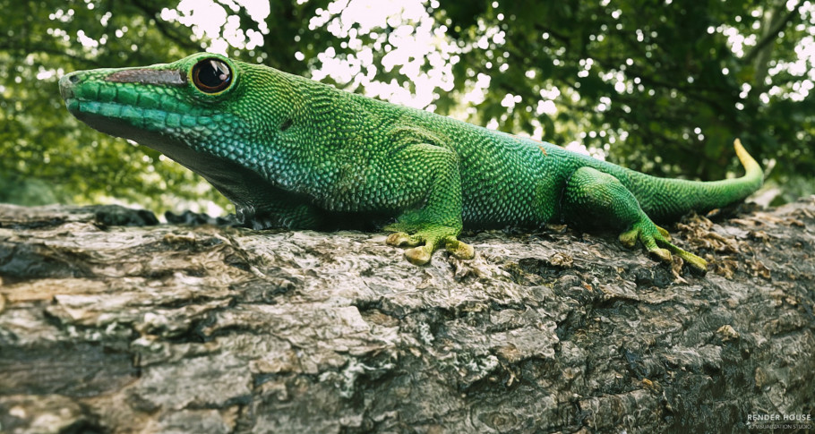 Green Gecho