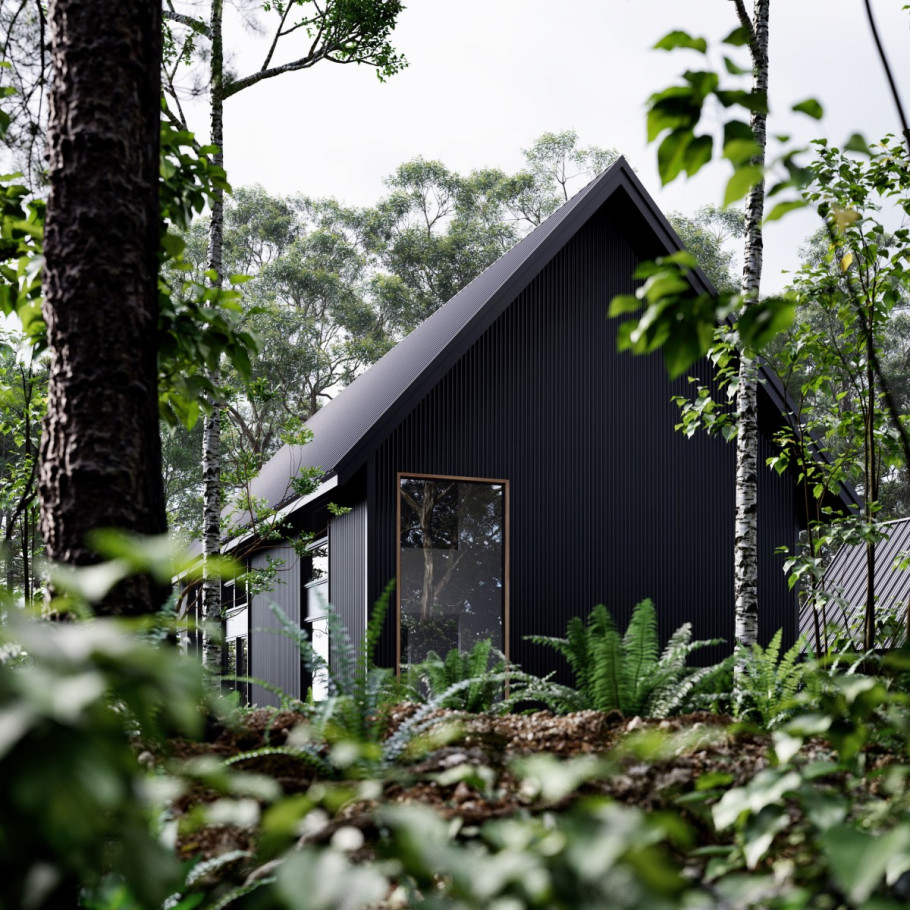 Modern Black House