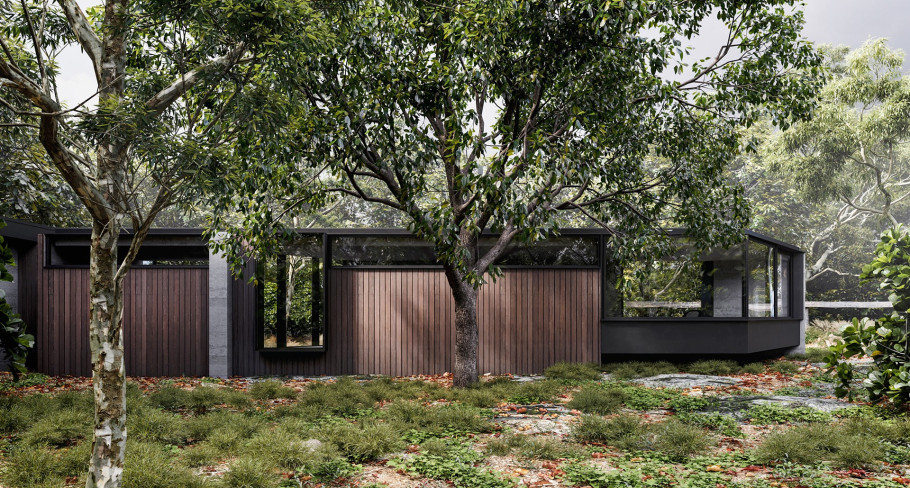 Pavilion in Trees