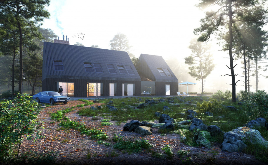The Forest house