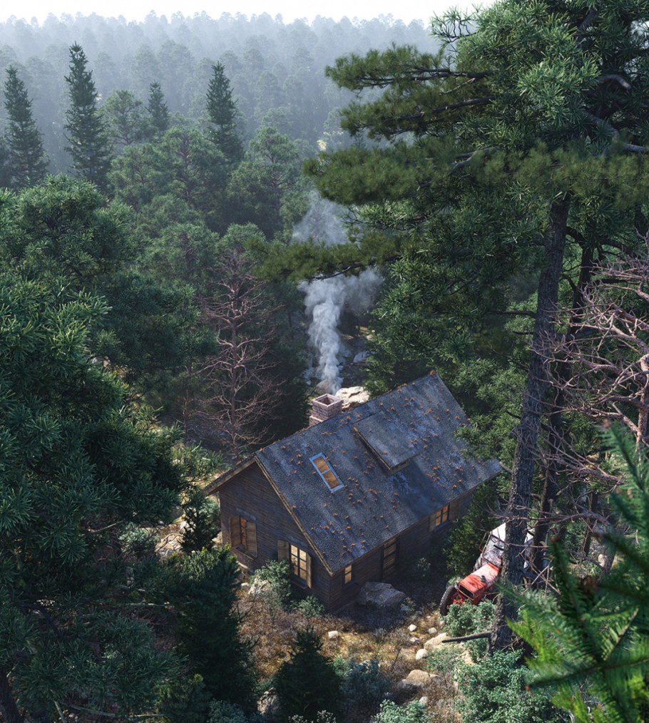 THE FOREST HOUSE 2