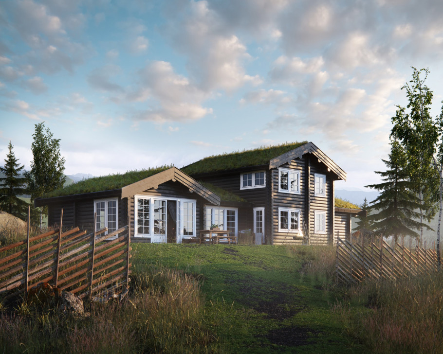 Tradicional Log houses