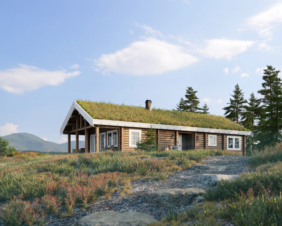 Tradicional Log houses