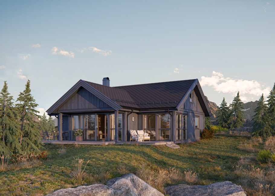 Cabin houses