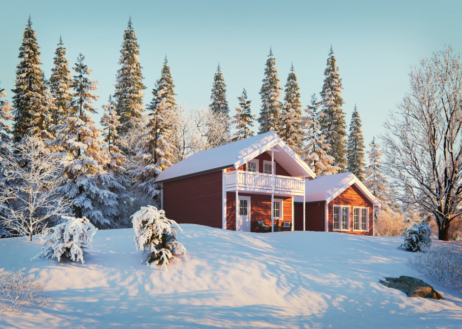 Cabin houses