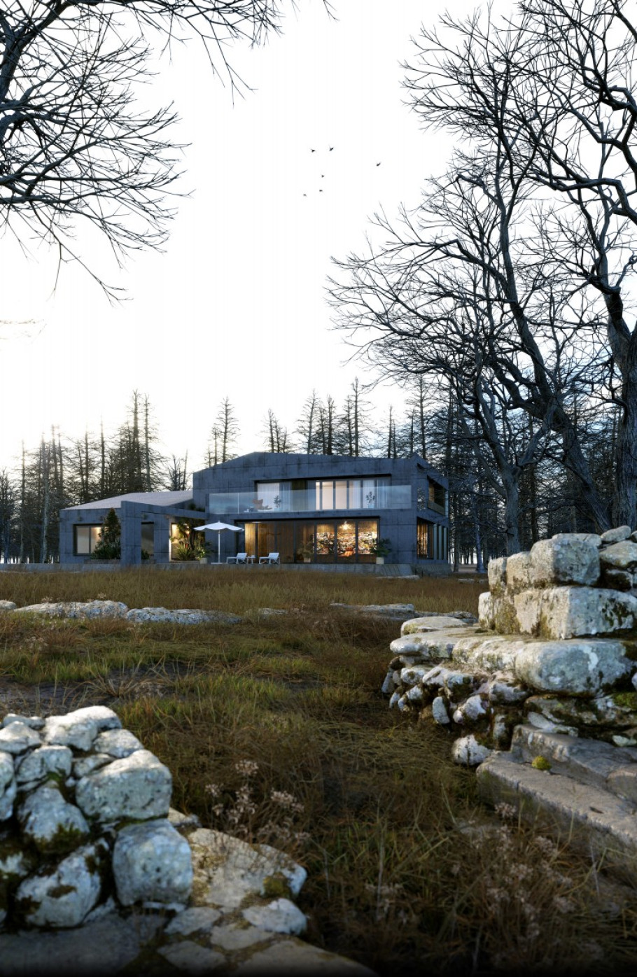 THE FOREST HOUSE 3