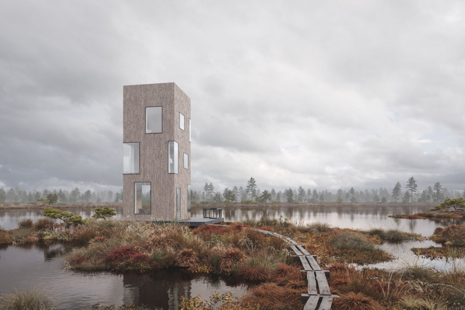Estonian Bog