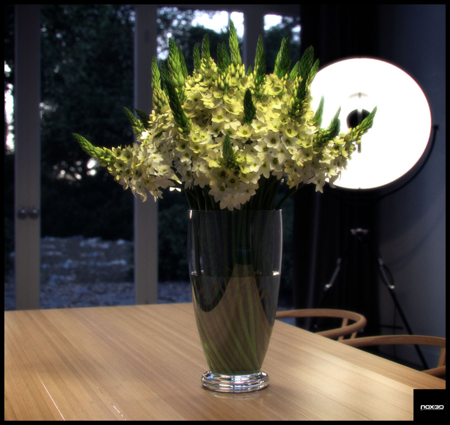 The Light and Furniture