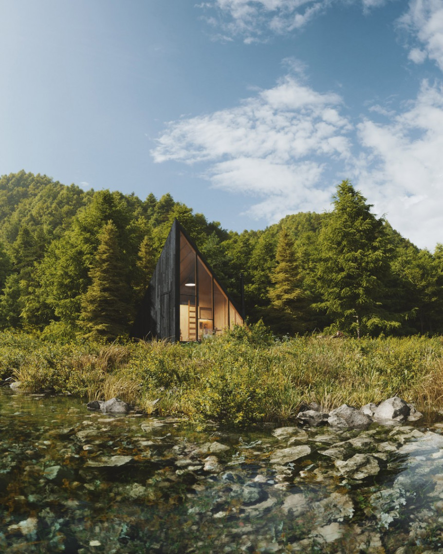 The Cabin