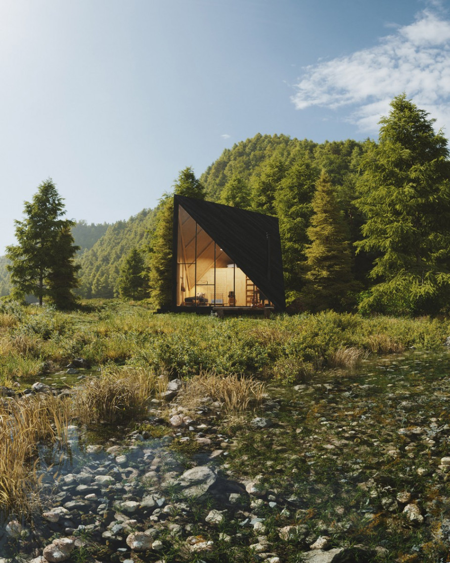 The Cabin