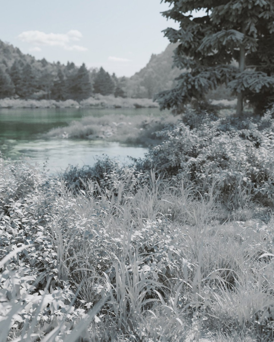 The Cabin