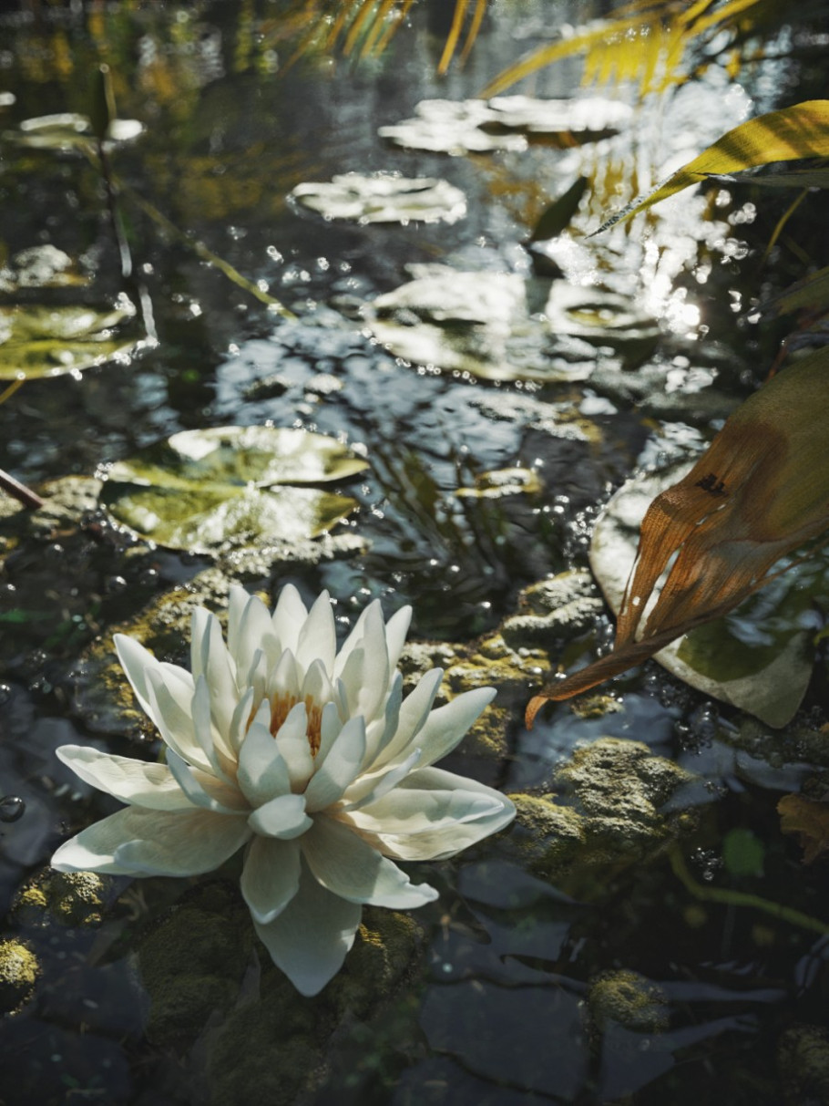 Lost in blossom