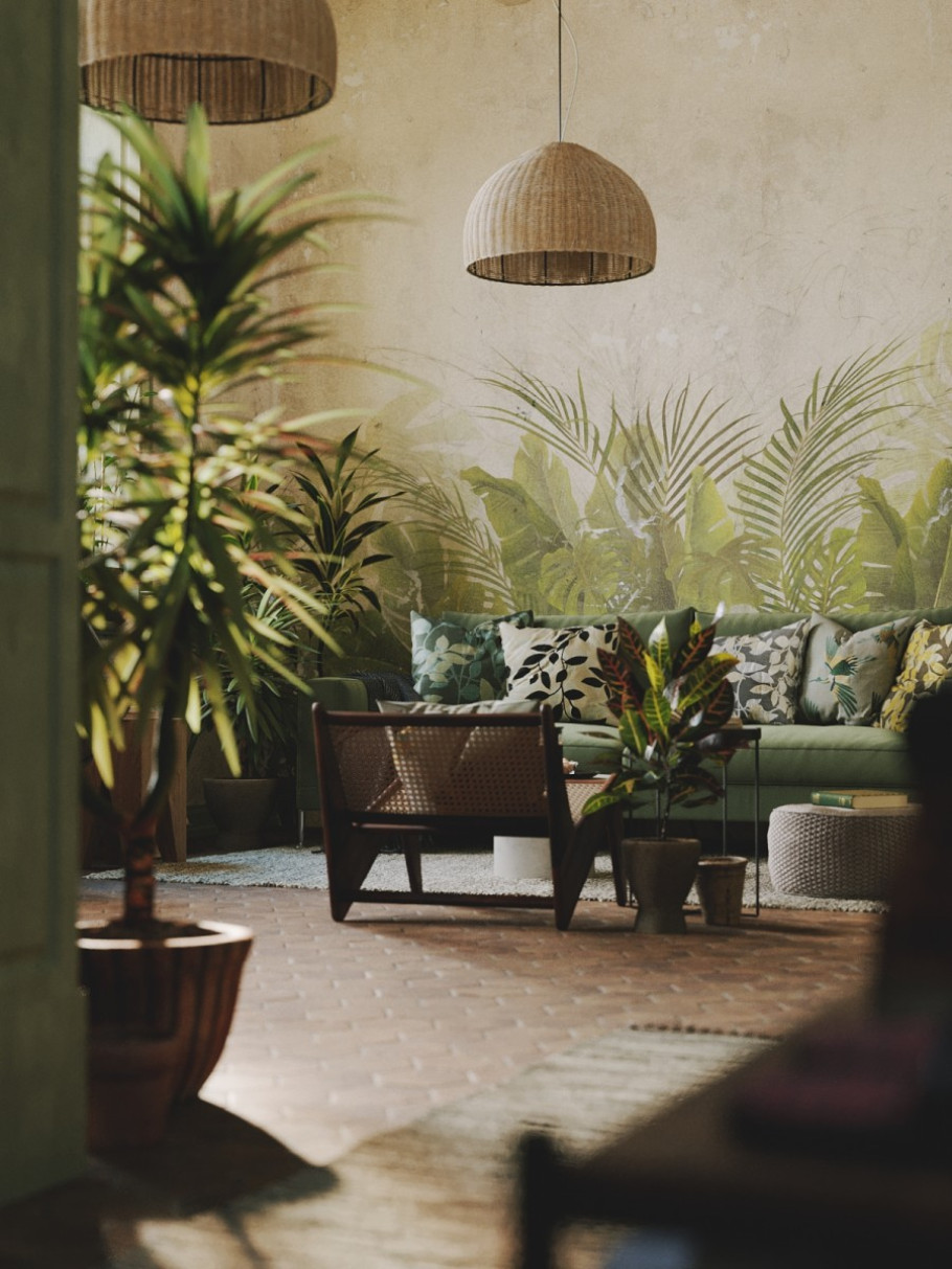 Houseplant Delight