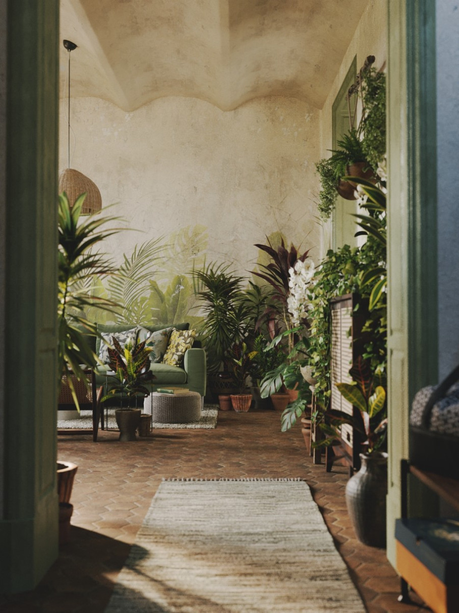 Houseplant Delight