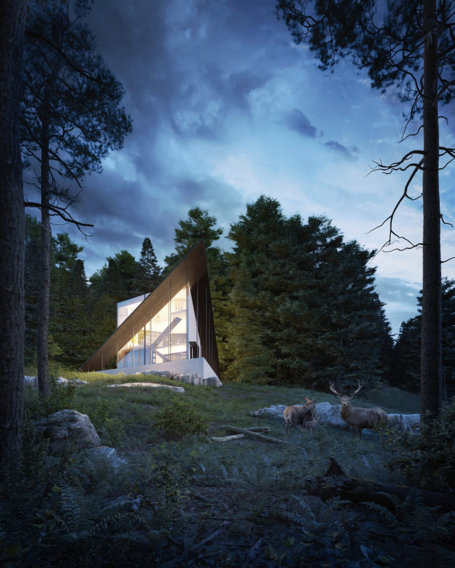 Contemporary Nature