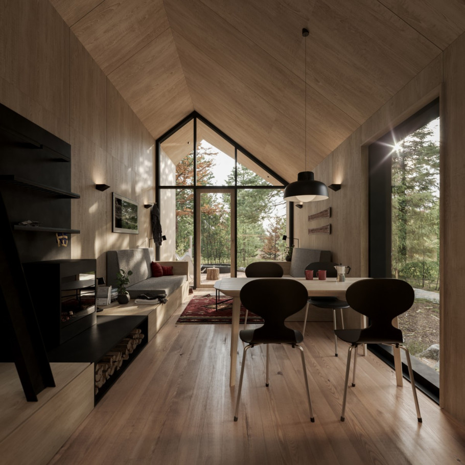 Cabin in Ontario