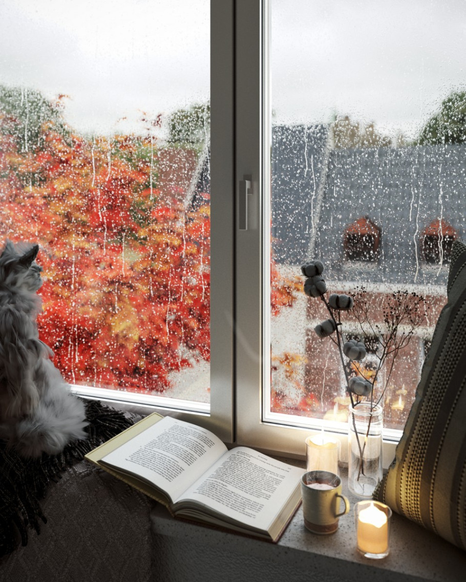 Rainy Day