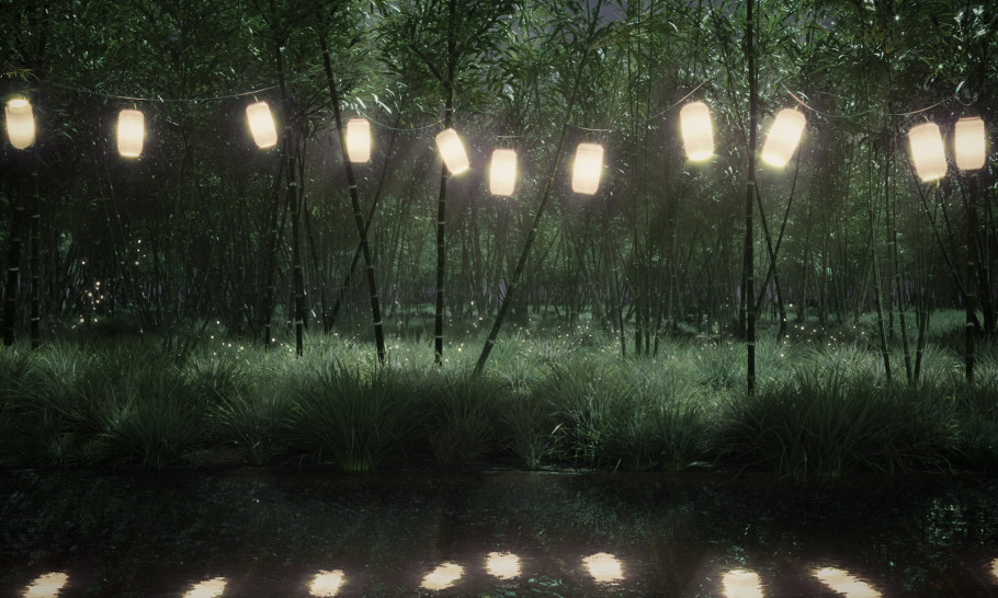 Bamboo Forest