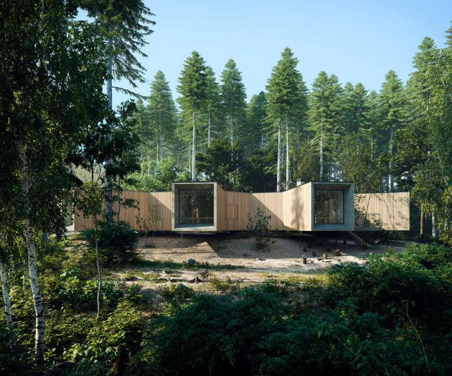 House in the Forest