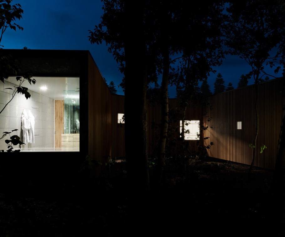 House in the Forest