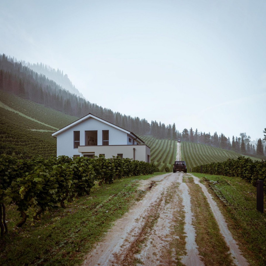 Houses in a vineyard