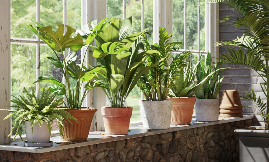 Winter Garden