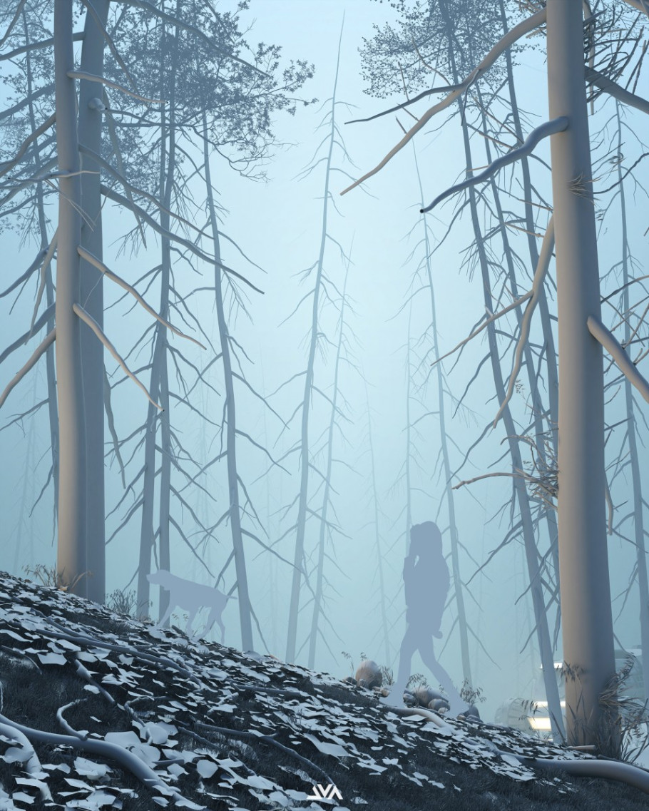 Forest Lonely
