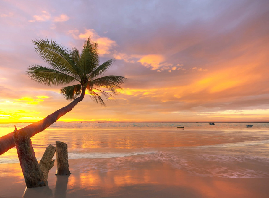 Charms of Brazil