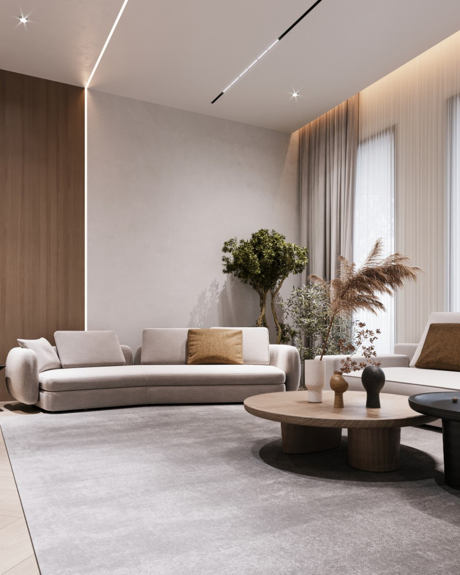 Modern Villa