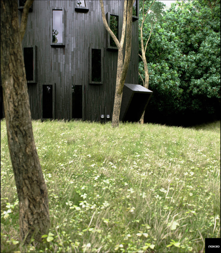 House in the woods