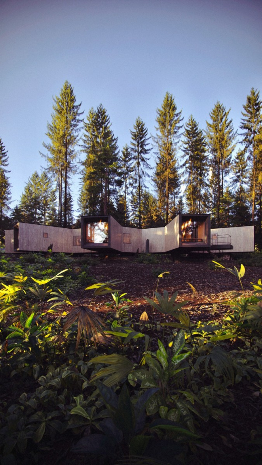 House in the Forest