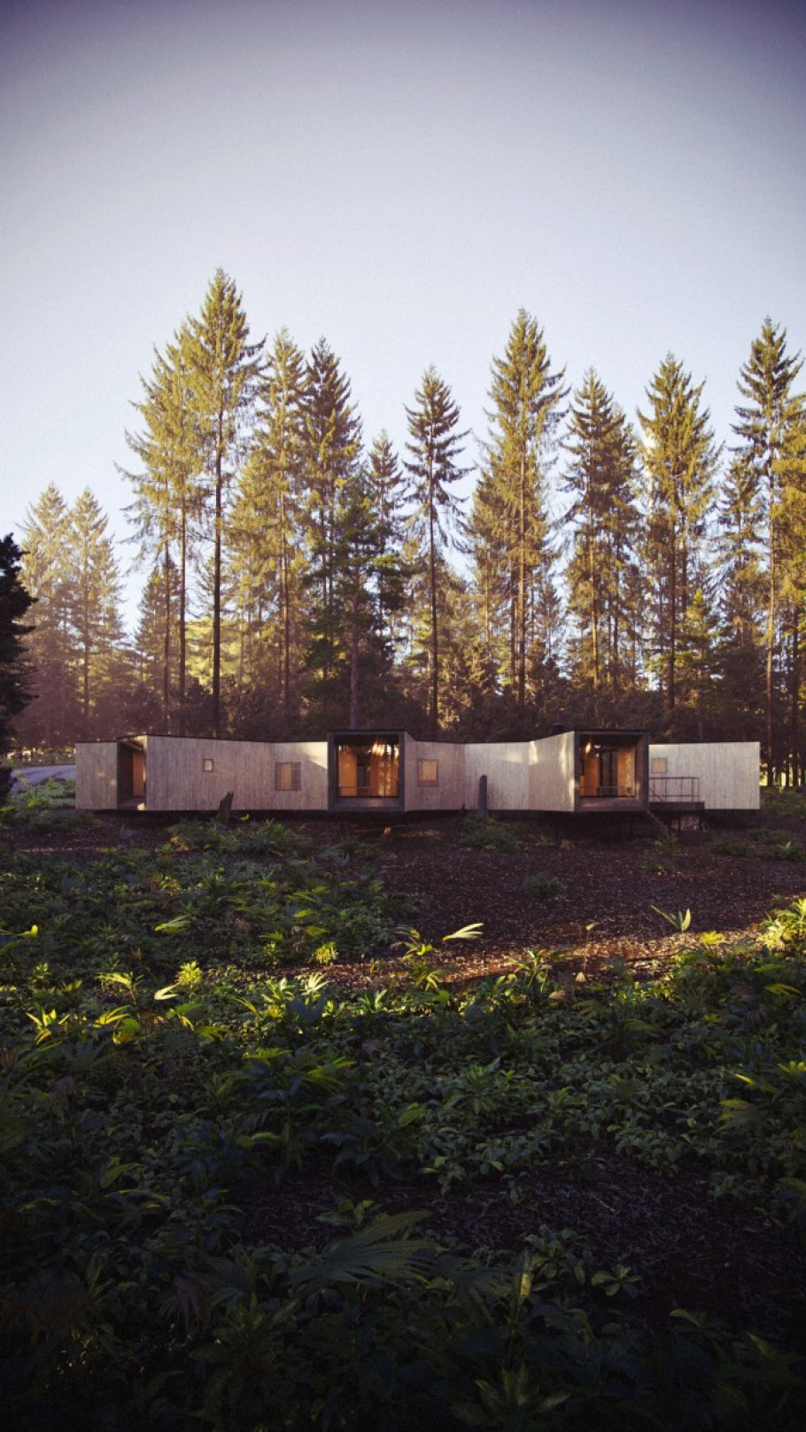 House in the Forest