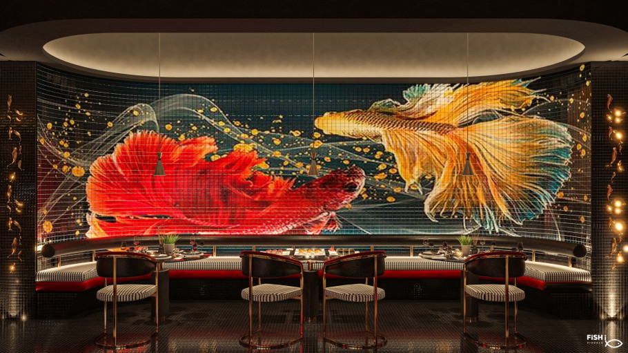 NOOKI | Sushi Bar UAE