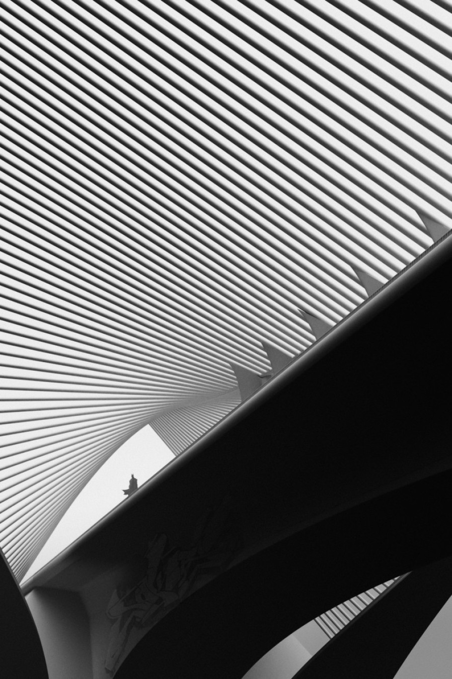 The Bridge