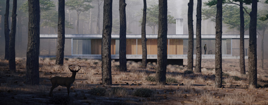 Forest House
