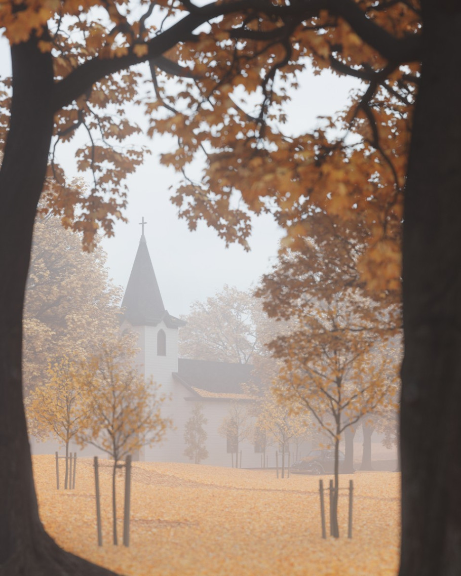 Autumn Colors