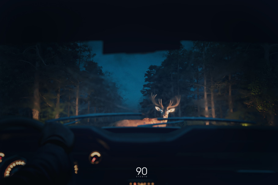 Deer
