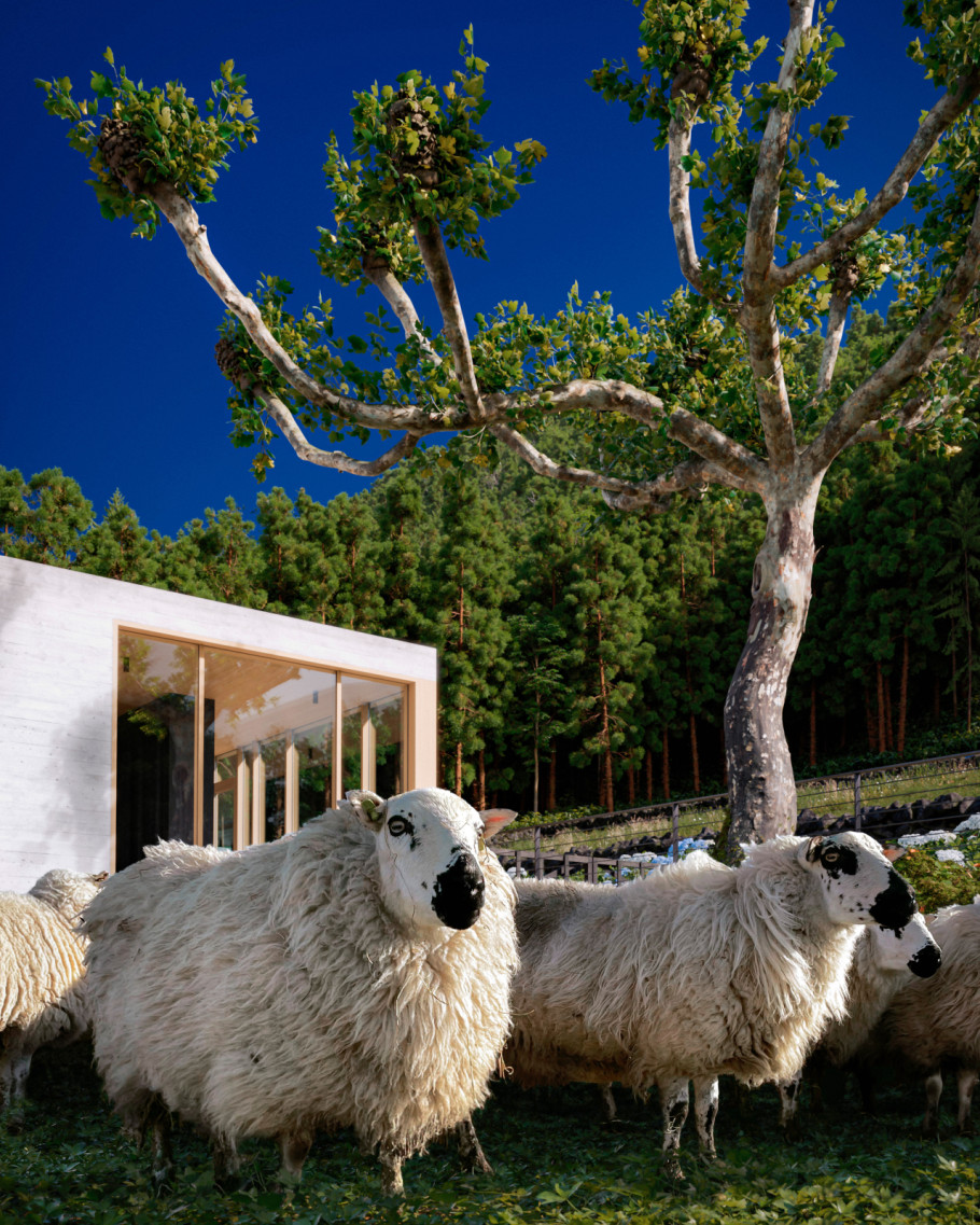 Villa in Azores